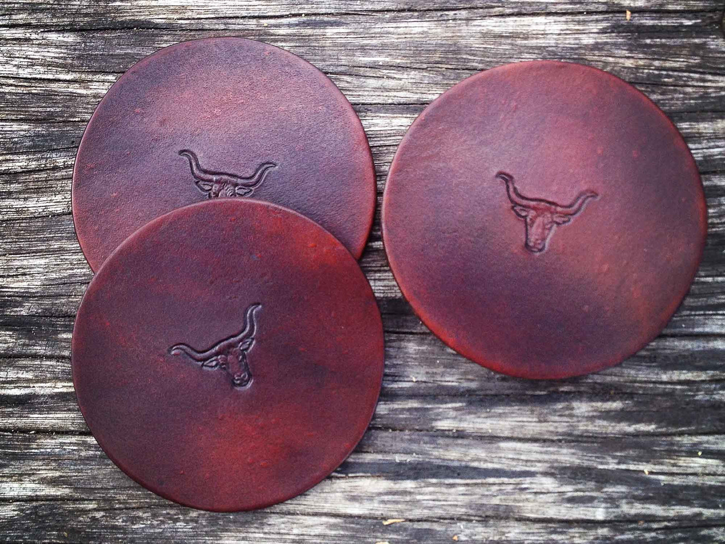 Longhorn Coasters