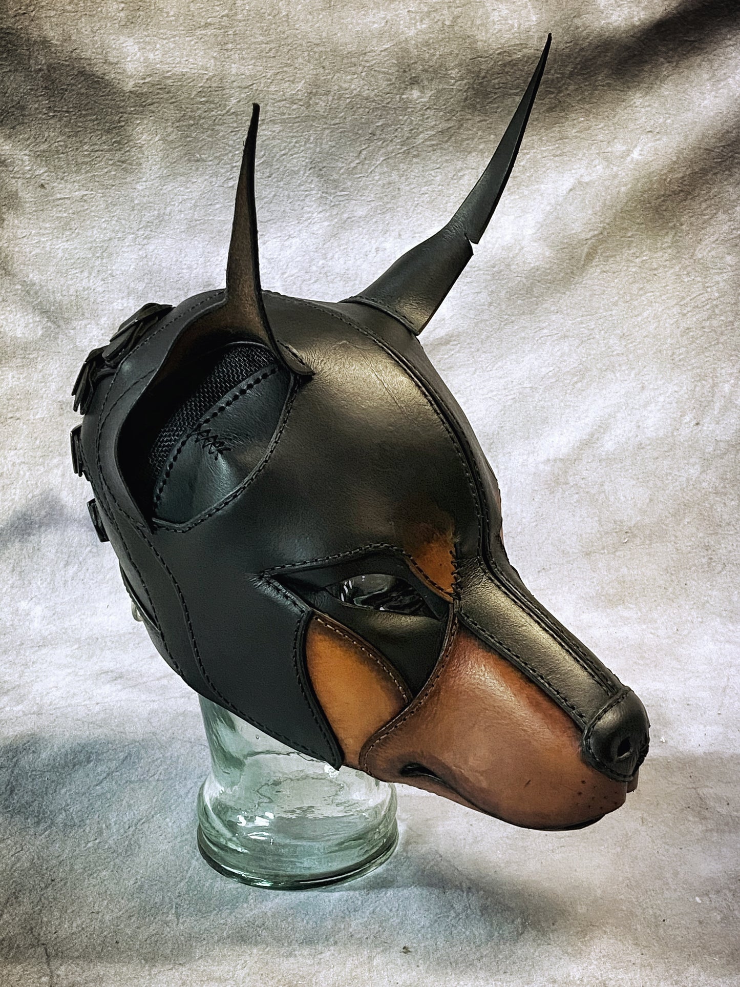 Doberman Hood