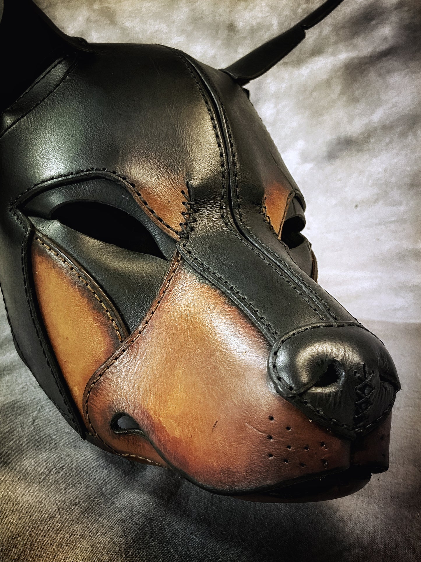 Doberman Hood